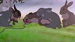 Watership Down picture
