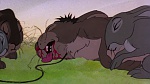 Watership Down picture