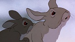 Watership Down picture