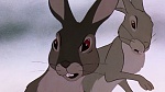 Watership Down picture