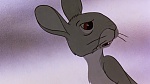 Watership Down picture