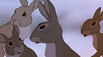 Watership Down picture