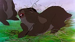 Watership Down picture