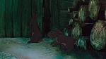 Watership Down picture