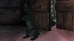 Watership Down picture