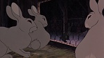 Watership Down picture