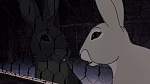 Watership Down picture