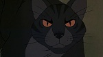 Watership Down picture