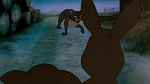 Watership Down picture