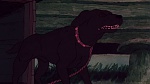 Watership Down picture