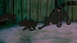 Watership Down picture