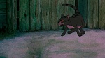 Watership Down picture