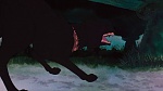 Watership Down picture