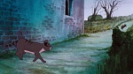 Watership Down picture