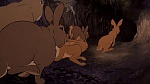 Watership Down picture