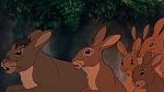 Watership Down picture
