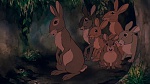 Watership Down picture
