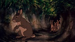 Watership Down picture