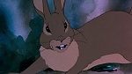 Watership Down picture