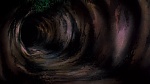 Watership Down picture