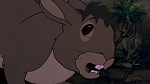 Watership Down picture