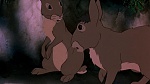 Watership Down picture
