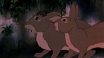 Watership Down picture