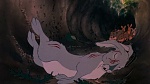 Watership Down picture