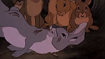 Watership Down picture