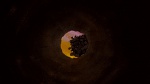 Watership Down picture