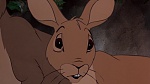 Watership Down picture