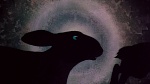 Watership Down picture