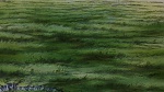 Watership Down picture