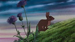 Watership Down picture