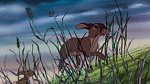 Watership Down picture