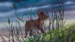 Watership Down picture