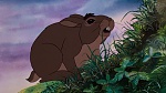 Watership Down picture