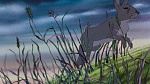 Watership Down picture