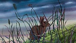 Watership Down picture