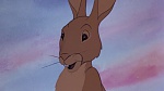 Watership Down picture
