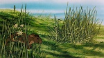 Watership Down picture