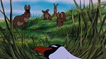 Watership Down picture