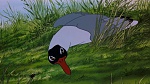 Watership Down picture