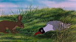 Watership Down picture