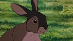 Watership Down picture