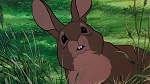 Watership Down picture