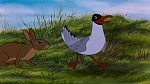Watership Down picture