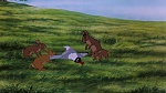 Watership Down picture