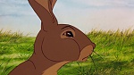 Watership Down picture