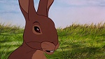 Watership Down picture
